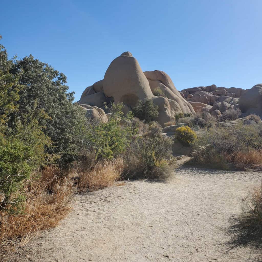 Skull Rock Joshua Tree National Park California