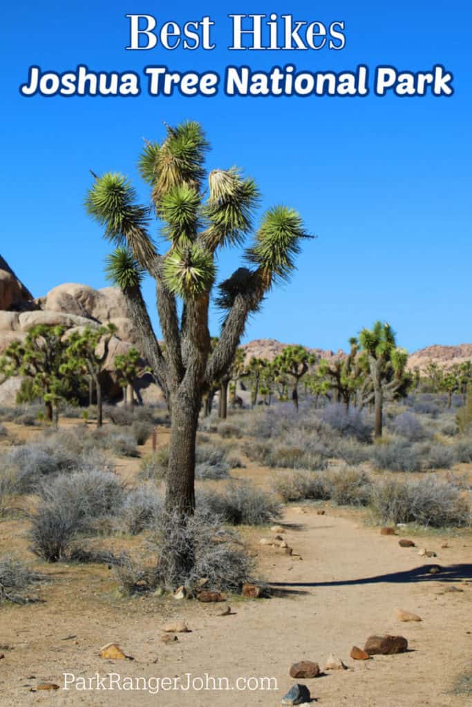 Photo a Joshua Tree and a hiking trail with text reading "Best Hiked in Joshua Tree National Park By ParkRangerJohn.com" ParkRangerJohn.com"