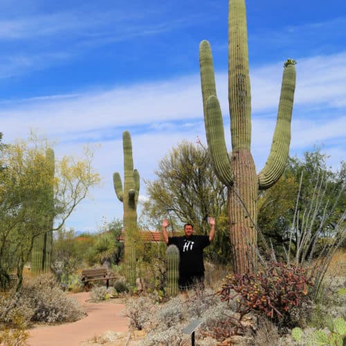 Saguaro National Park