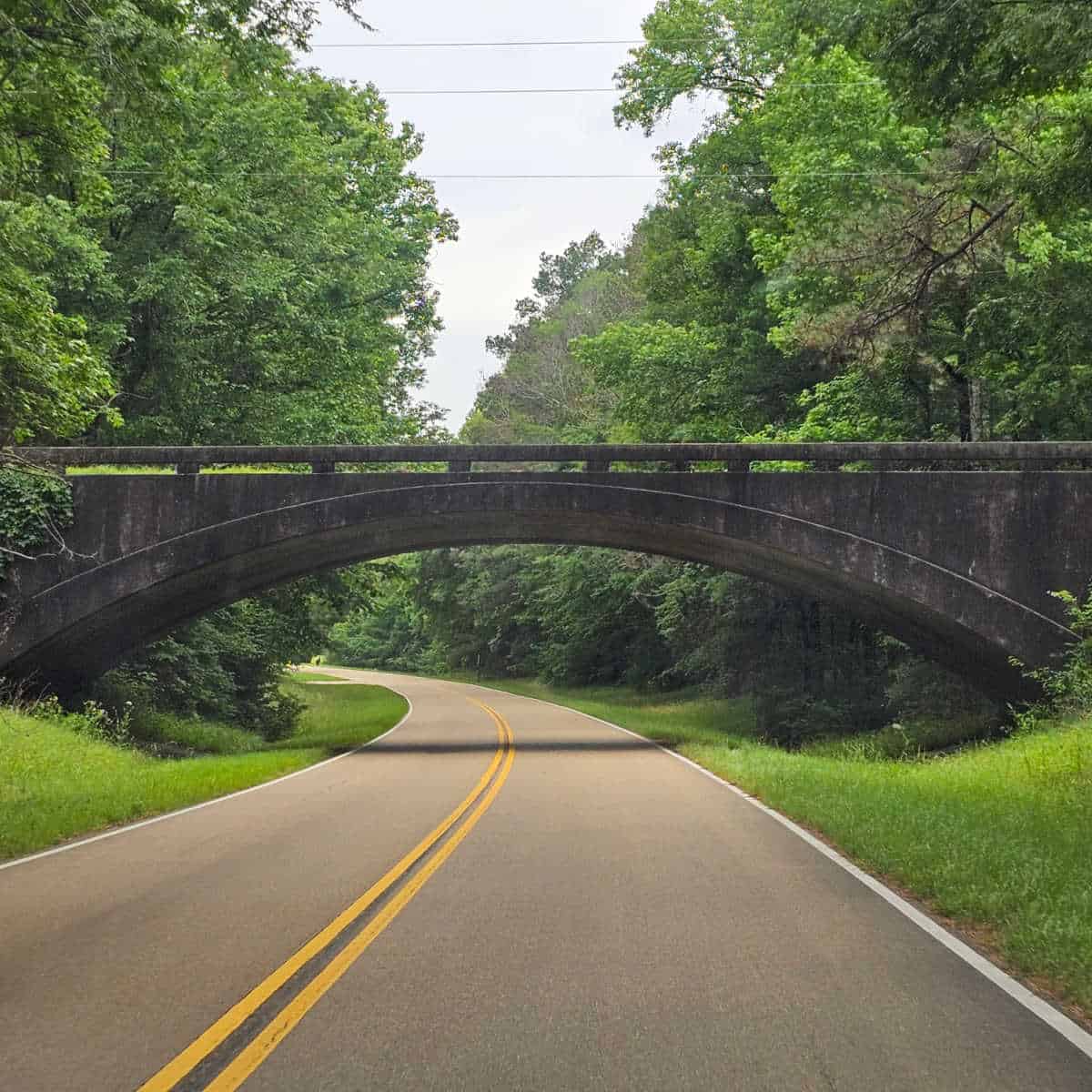 Bridge over the Natchez Trace Parkway with trees on both sides