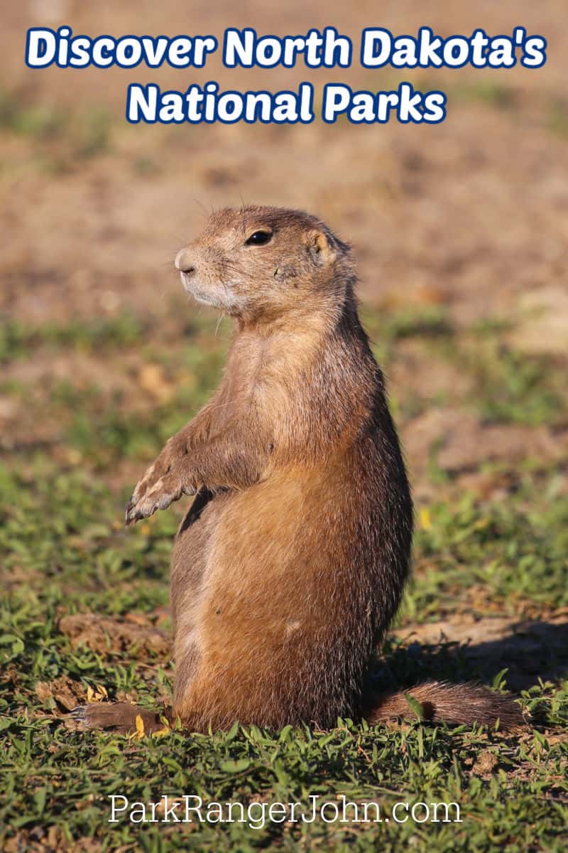 Photo of a prairie Dog at Theodore Roosevelt National Park with text reading "Discover North Dakota's National Parks by ParkRangerJohn.com"