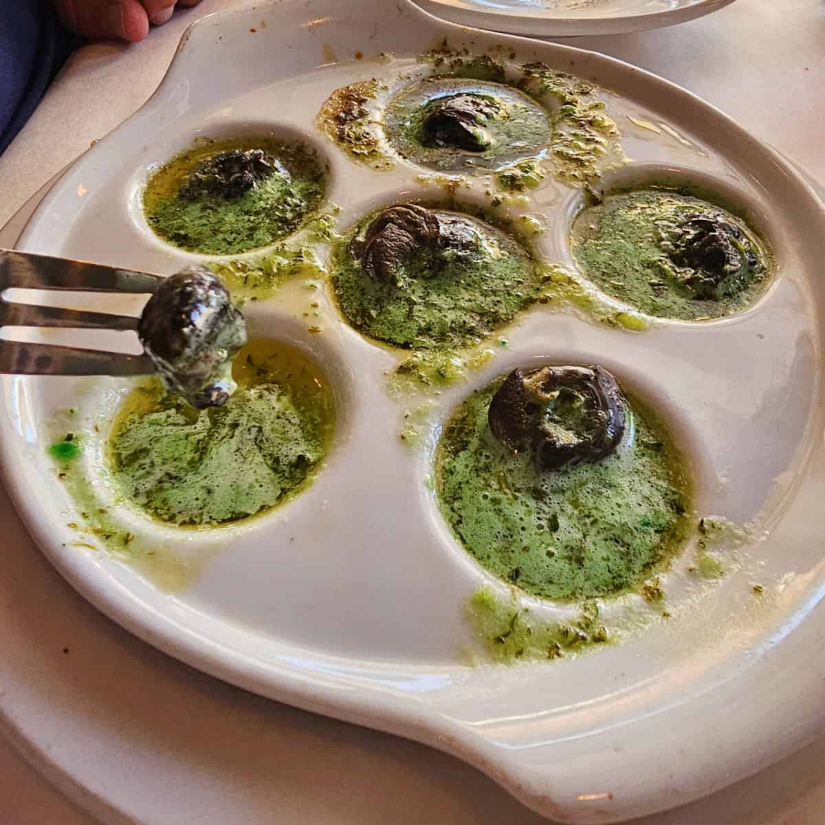 Escargot in butter on a white plate