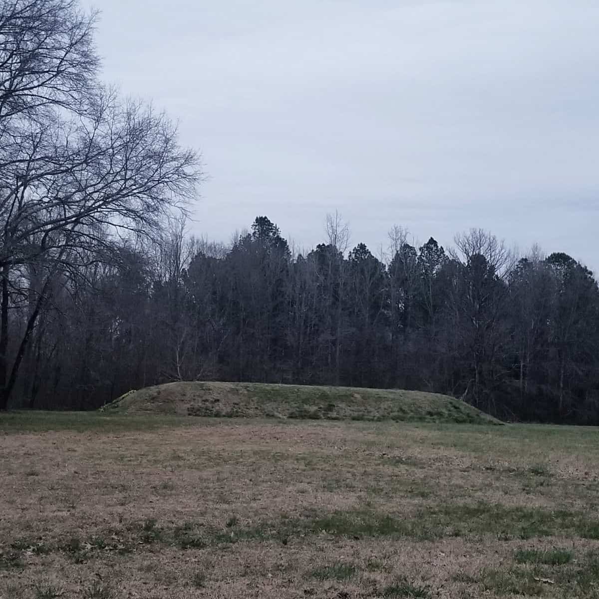 Bear Creek Mound Natchez Trace Parkway