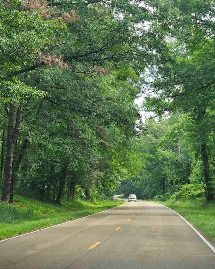 Driving along the Natchez Trace Parkway