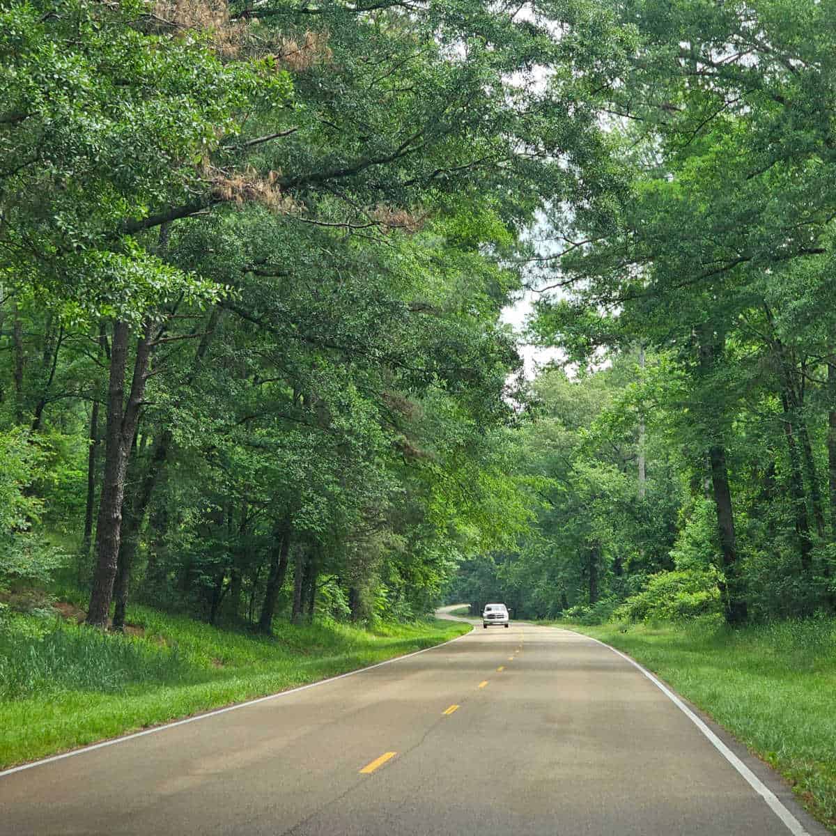 Driving along the Natchez Trace Parkway