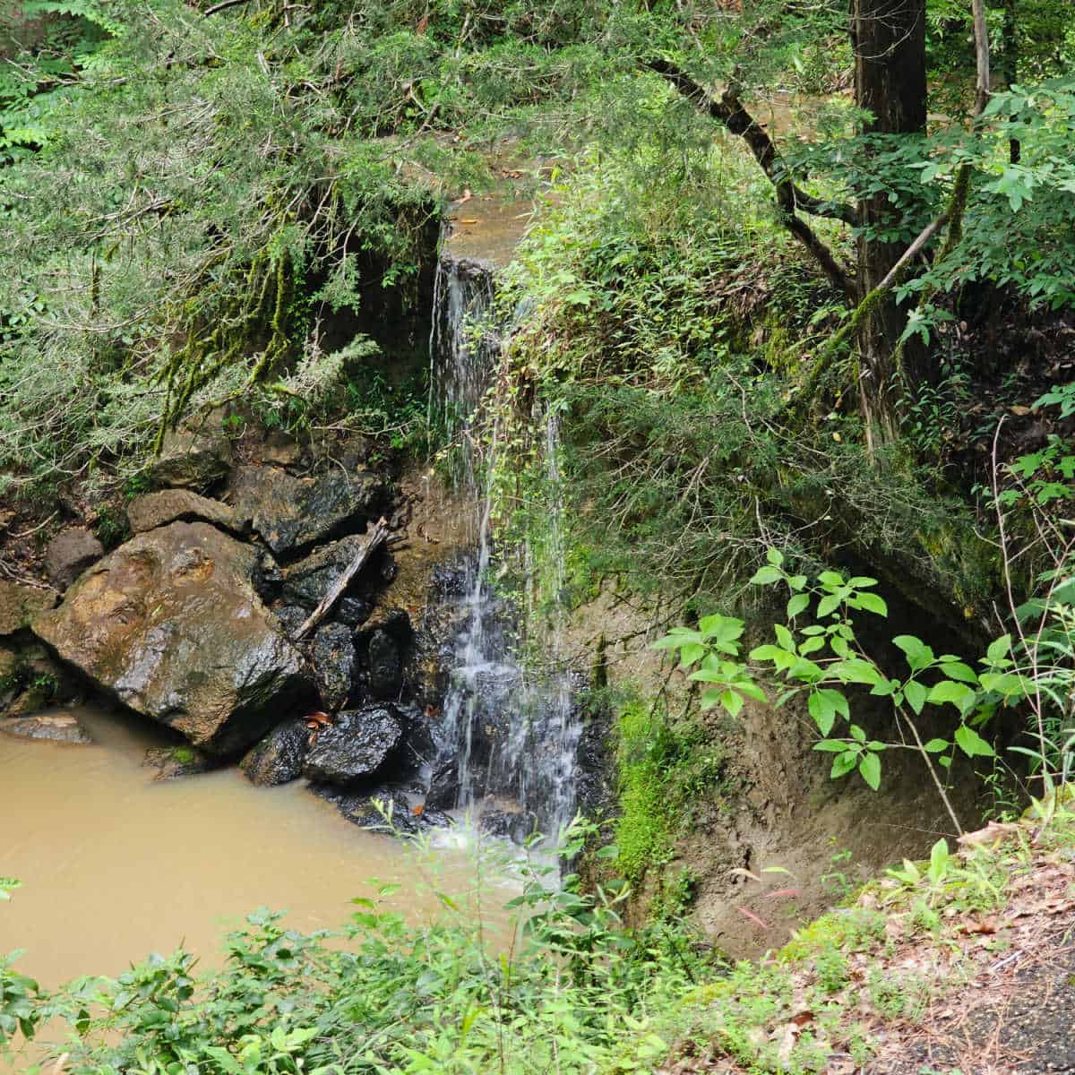 Owens Creek Waterfall Natchez Trace Parkway