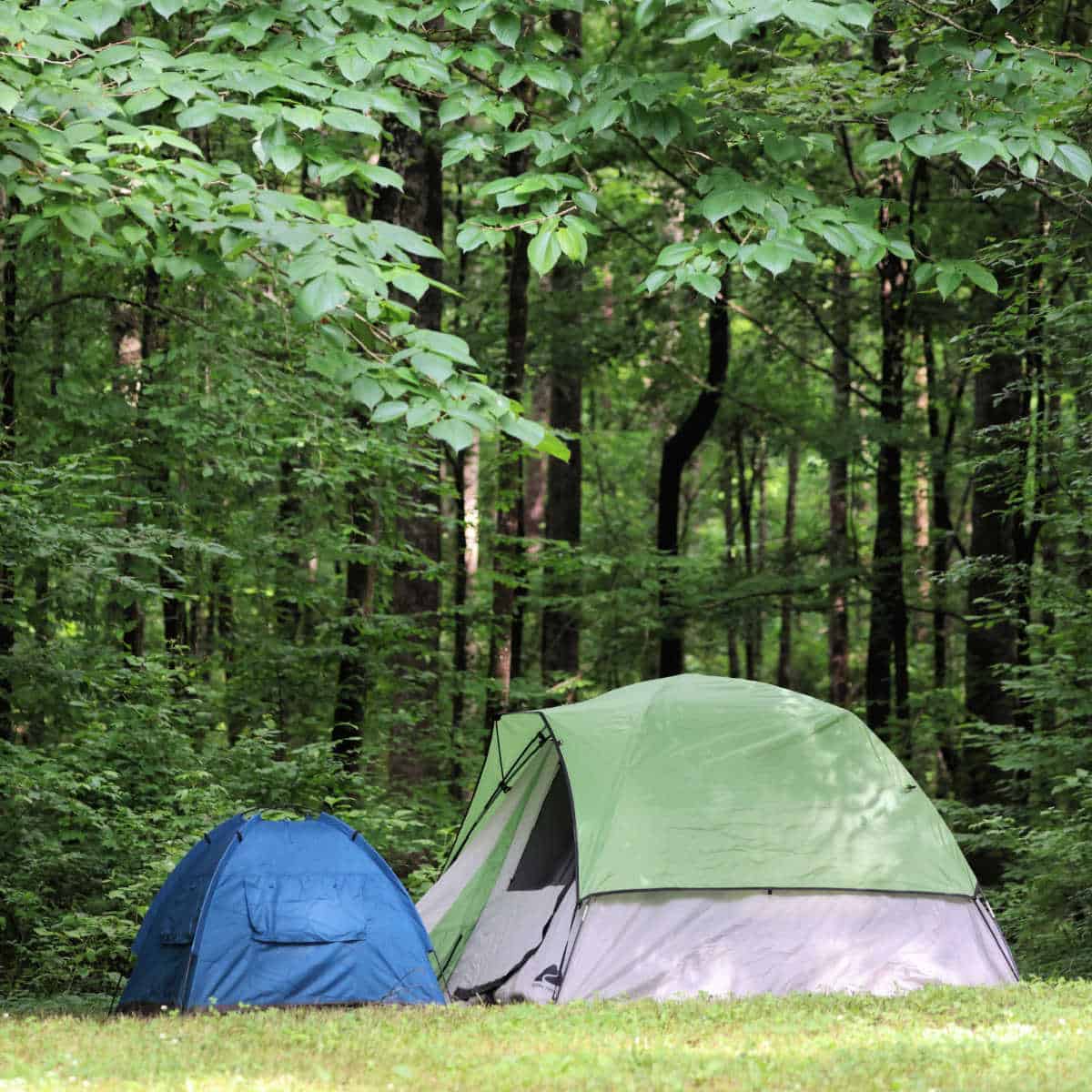 Rocky Springs Campground Natchez Trace Parkway