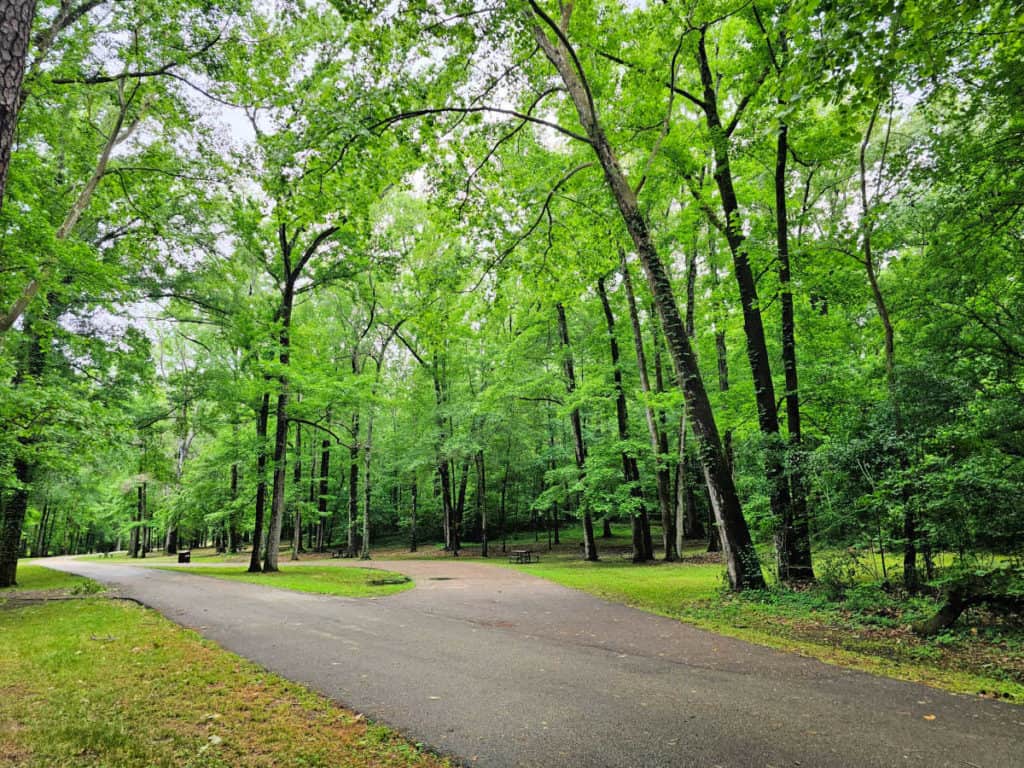 Rocky Springs Campground - Natchez Trace Parkway | Park Ranger John