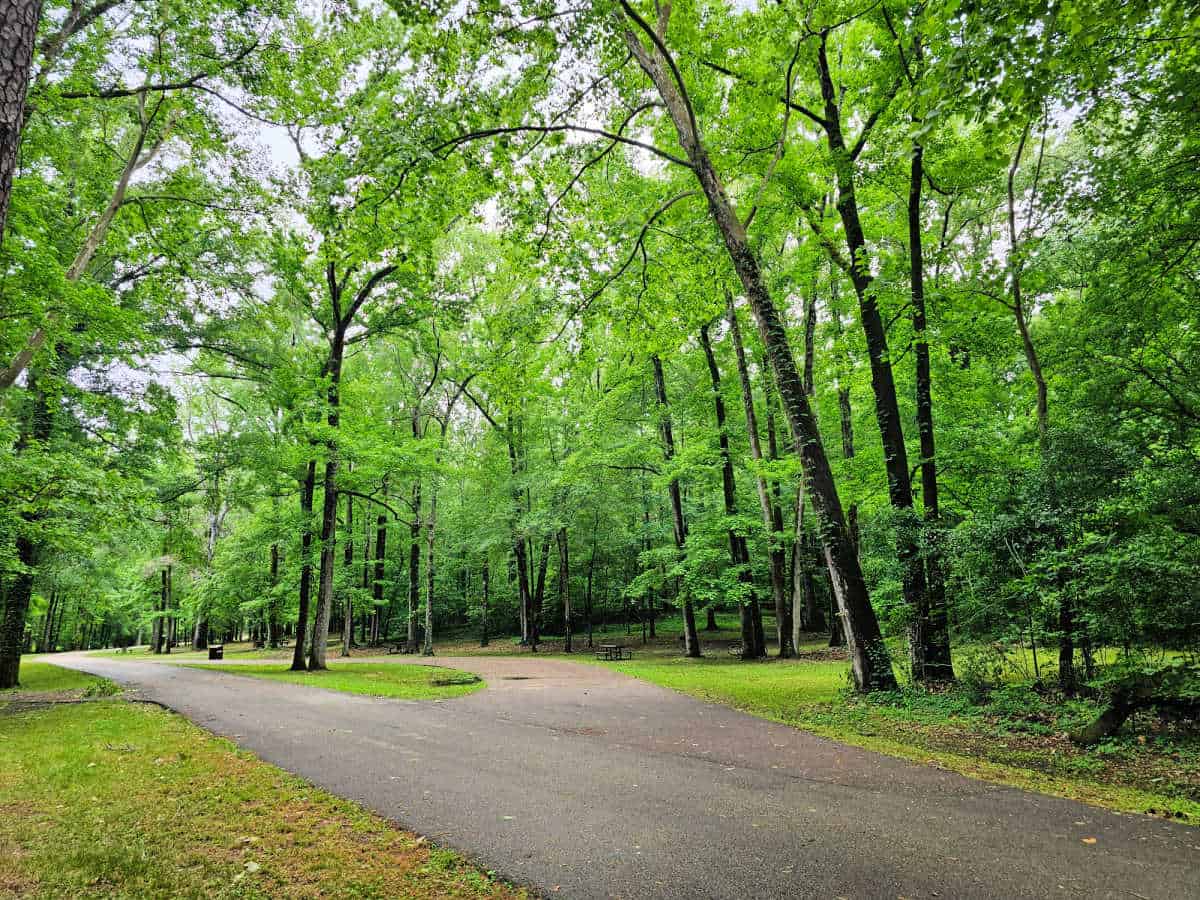 beautiful campsite at Rocky Springs Campground Natchez Trace Parkway Mississippi