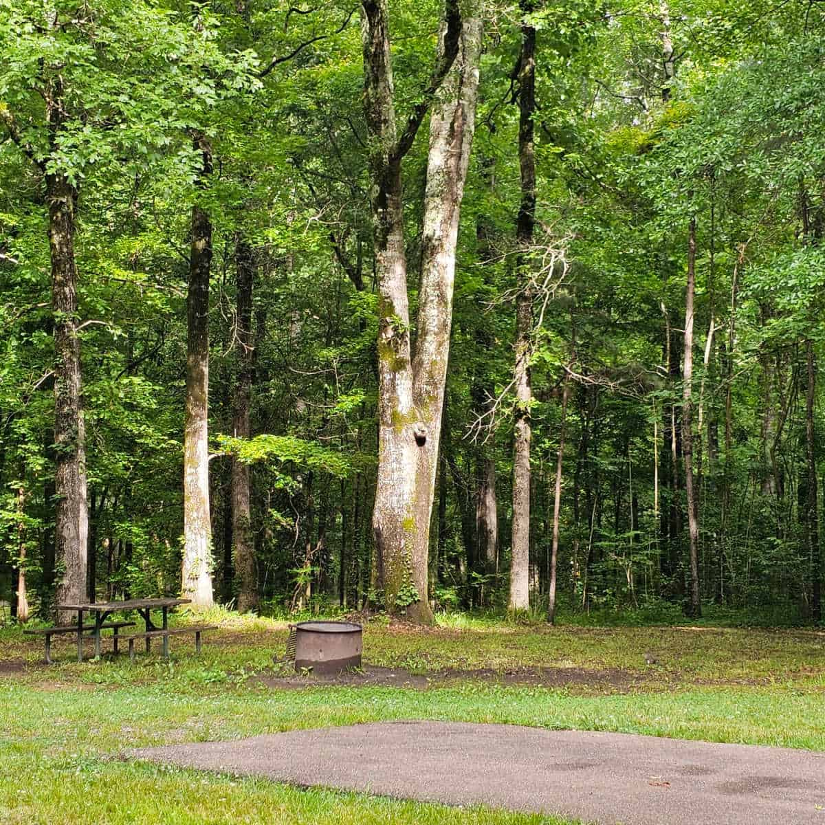 pretty campsite in Rocky Springs Campground Natchez Trace Parkway Mississippi