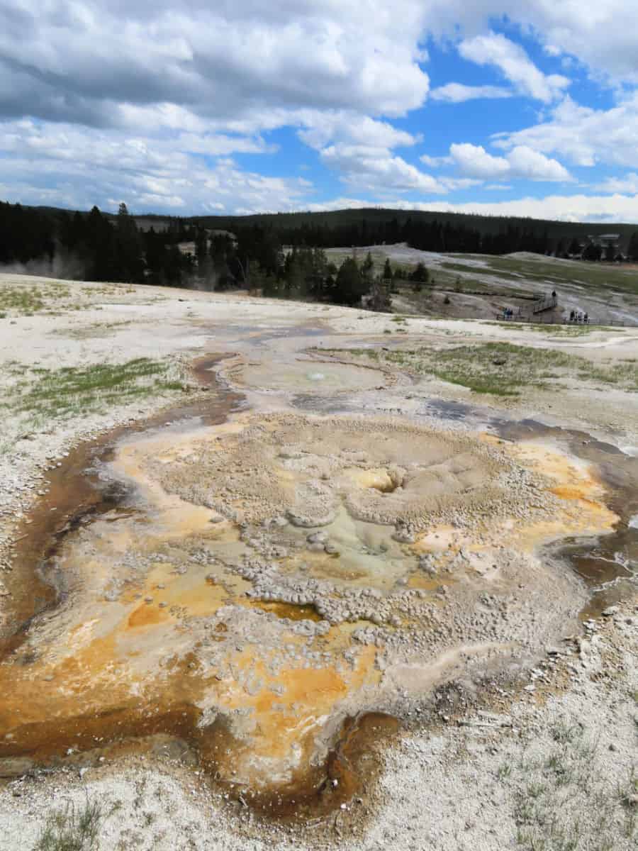 Anemone Geyser on Geyser Hill Upper Geyser Basin Yellowstone National Park