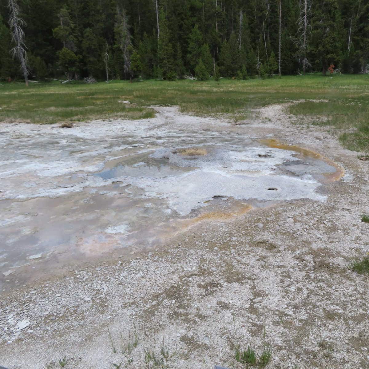 Aurum Geyser on Geyser Hill Upper Geyser Basin Yellowstone National Park