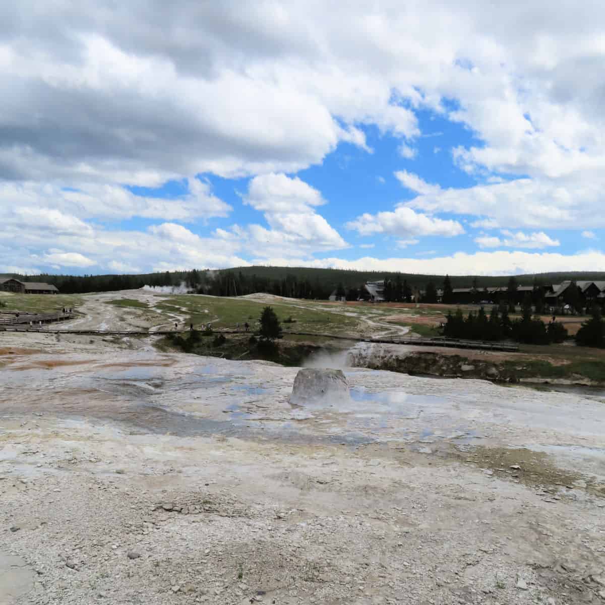 Beehive Geyser on Geyser Hill in the Upper Geyser Basin of Yellowstone Nation