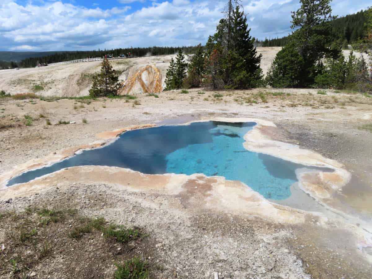 Blue Star Spring Geyser Hill in the Upper Geyser Basin Yellowstone National Pa