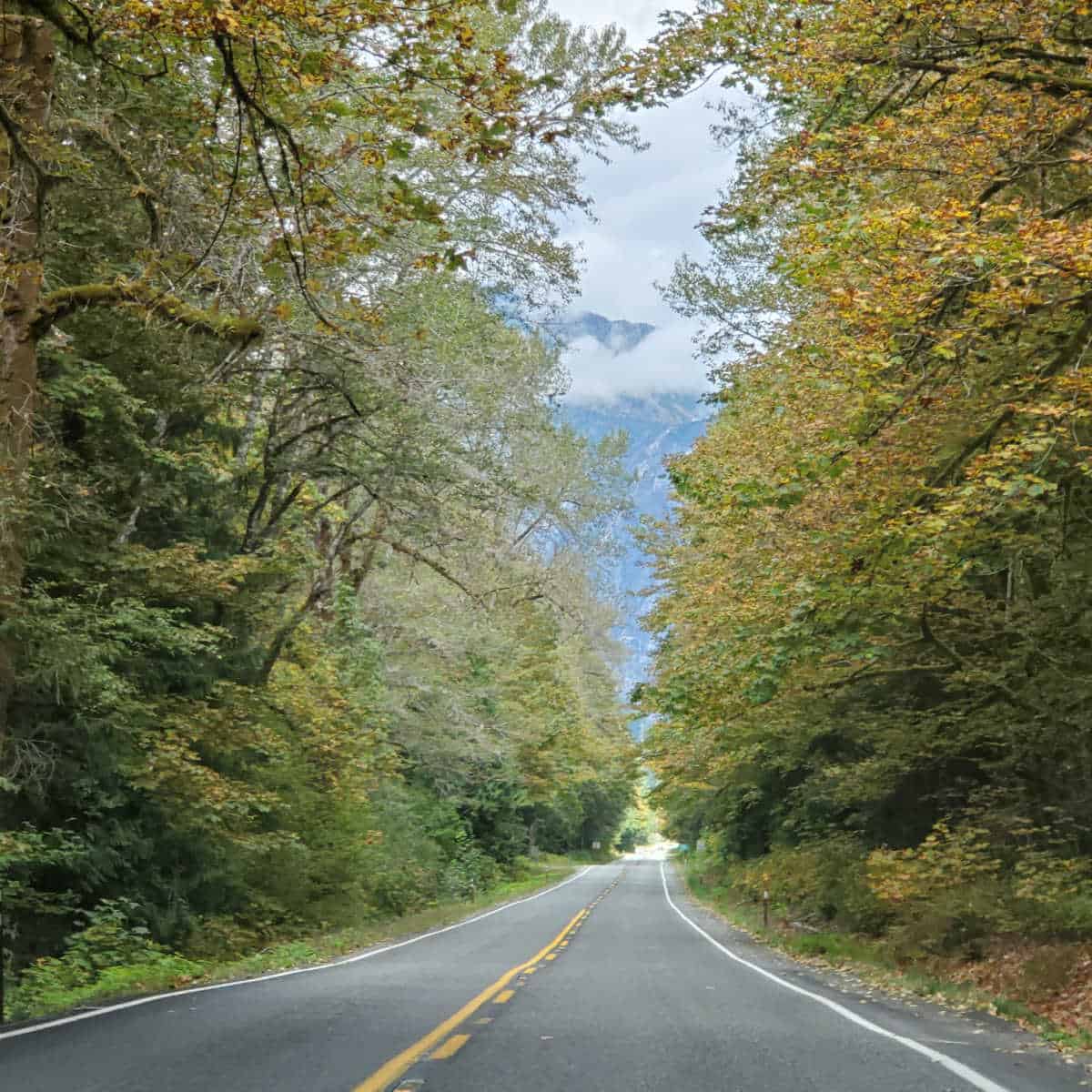 Driving eastbound to North Cascades National Park