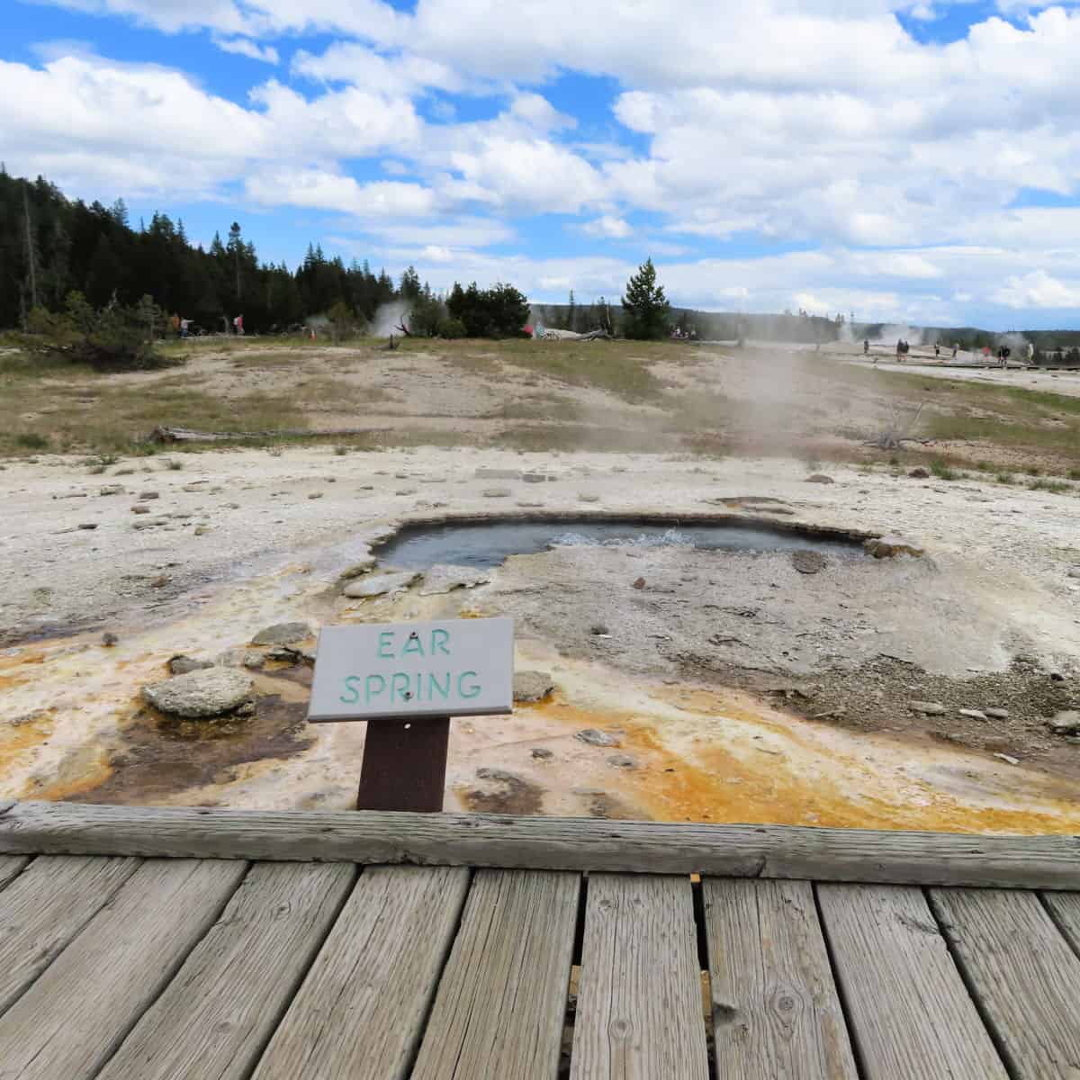 Ear Spring Upper Geyser Basin Yellowstone National Park