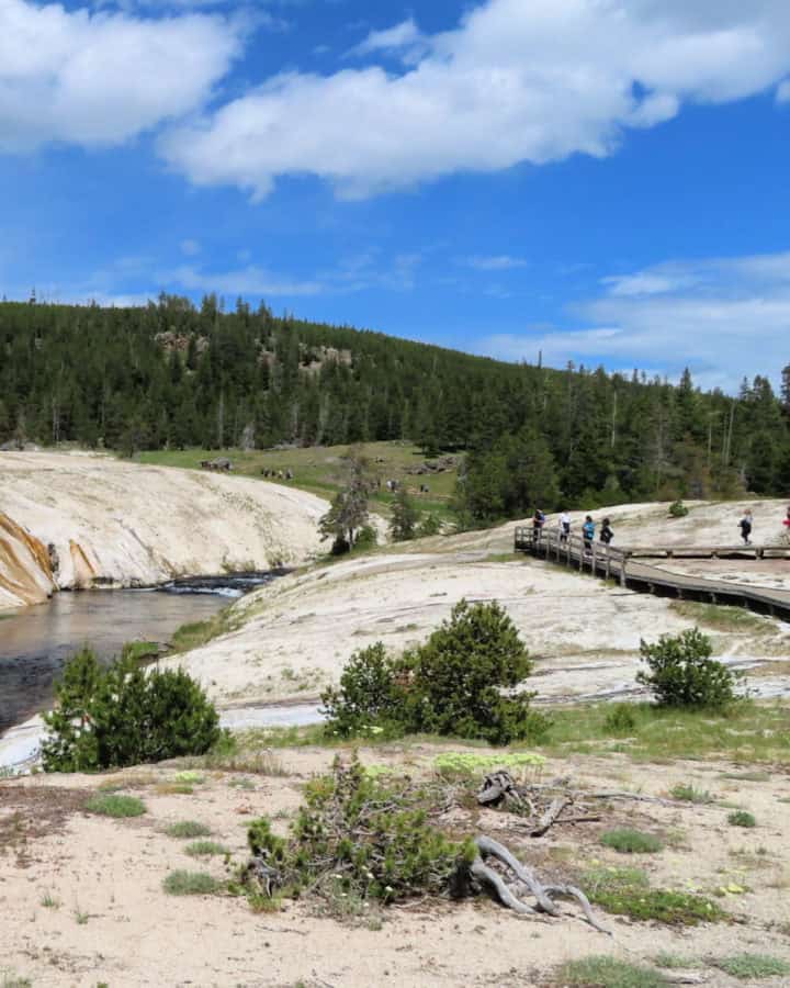 Geyser Hill at Yellowstone National Park