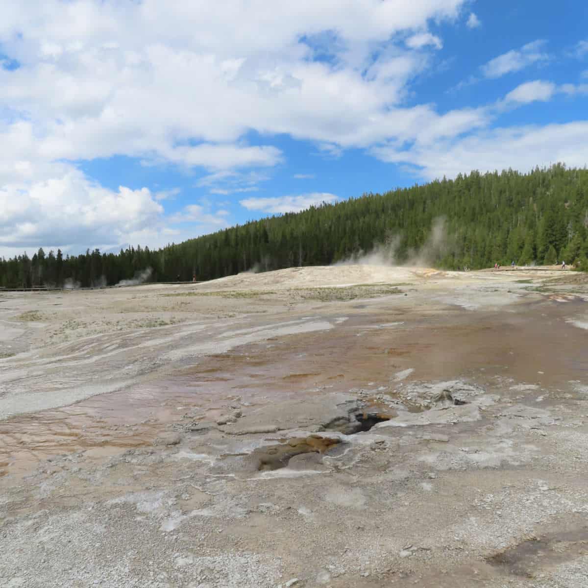 Plume Geyser along Geyser Hill of the Upper Geyser Basin of Yellowstone Nation