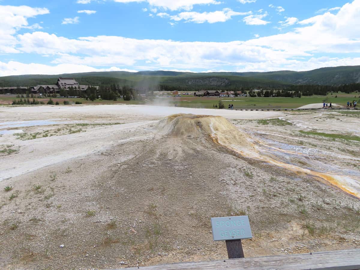 Sponge Geyser Upper Geyser Basin Yellowstone National Park