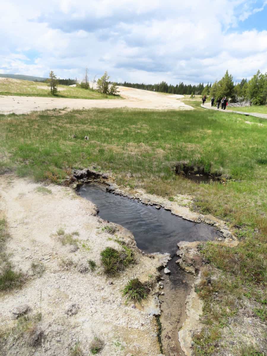 Sulphide Spring Upper Geyser Basin Yellowstone National Park