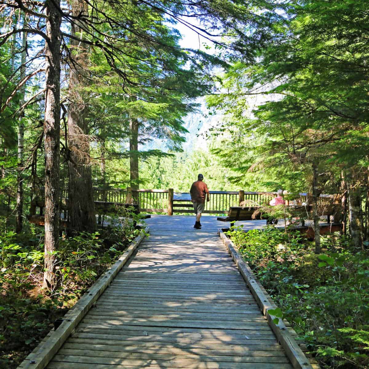 Trail behind the visitor center at North Cascades National Park