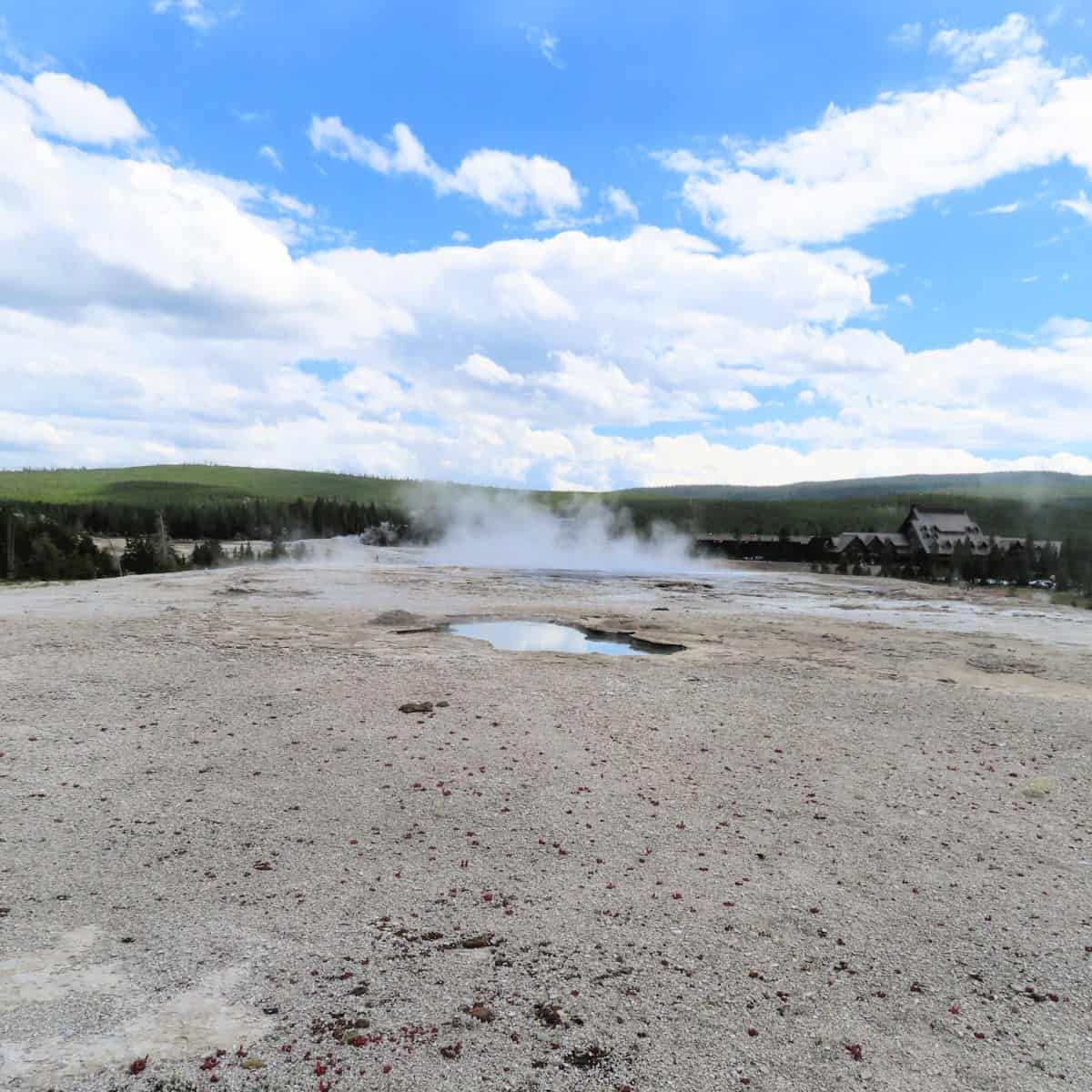 Vault Geyser on Geyser Hill in the Upper Geyser Basin Yellowstone National Park