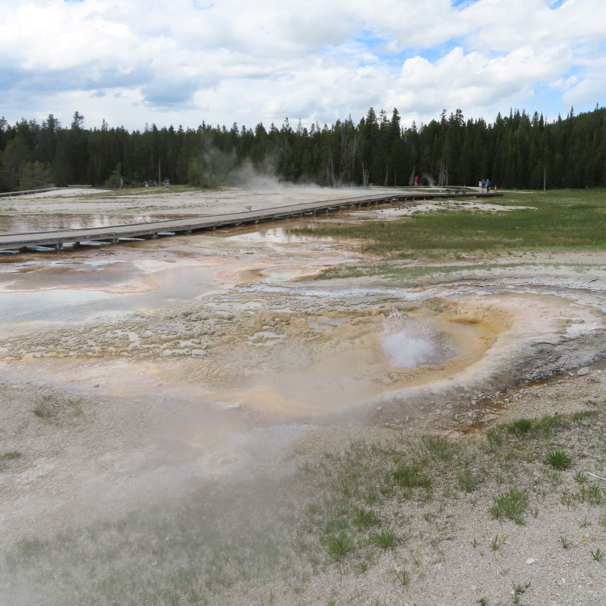 pump Geyser in Geyser Hill in Upper Geyser Basin in Yellowstone National Park