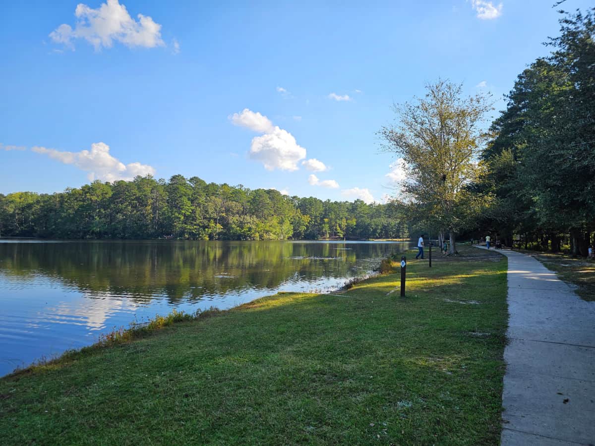 paved walkway next to a lake with trees reflecting in the water