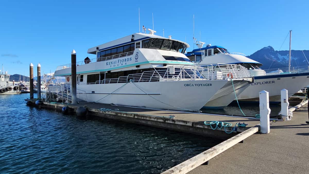 Orca Explorer at Kenai Fjords Tours