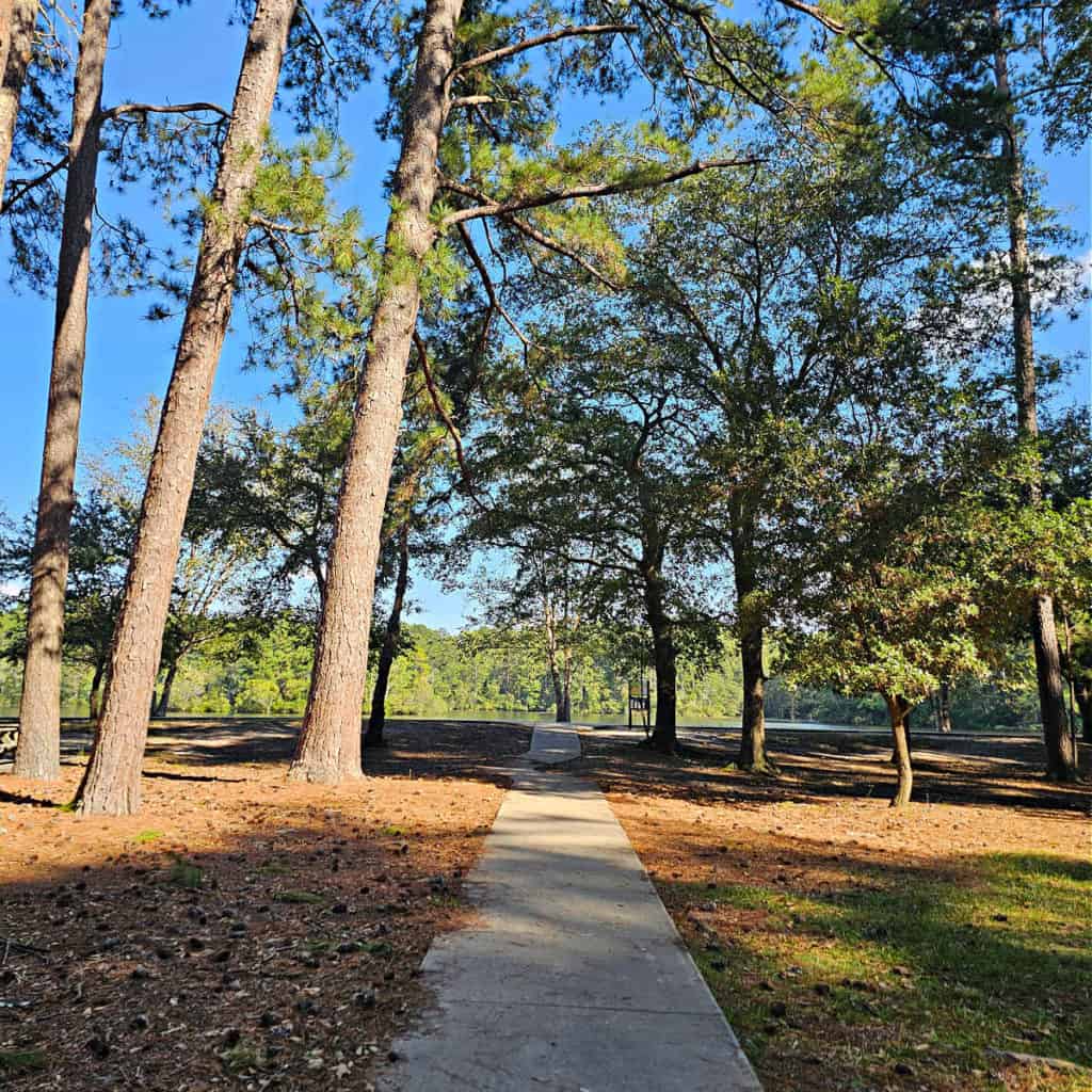 12 miles of hiking trails at Sesquicentennial State Park