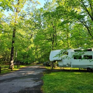 Camping at Greenbelt Park Campground Maryland