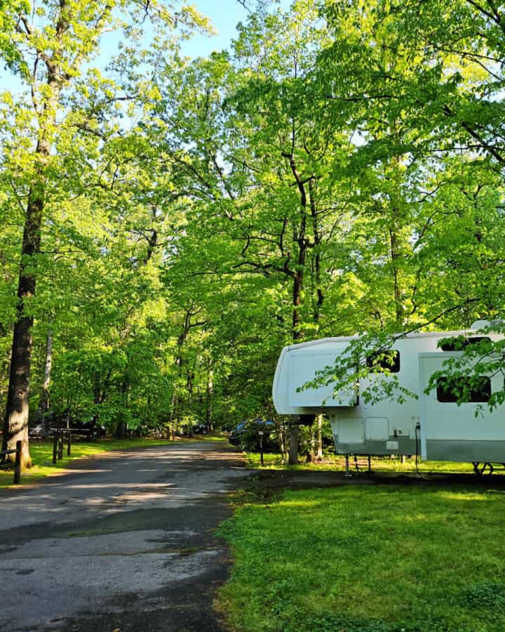 Camping at Greenbelt Park Campground Maryland