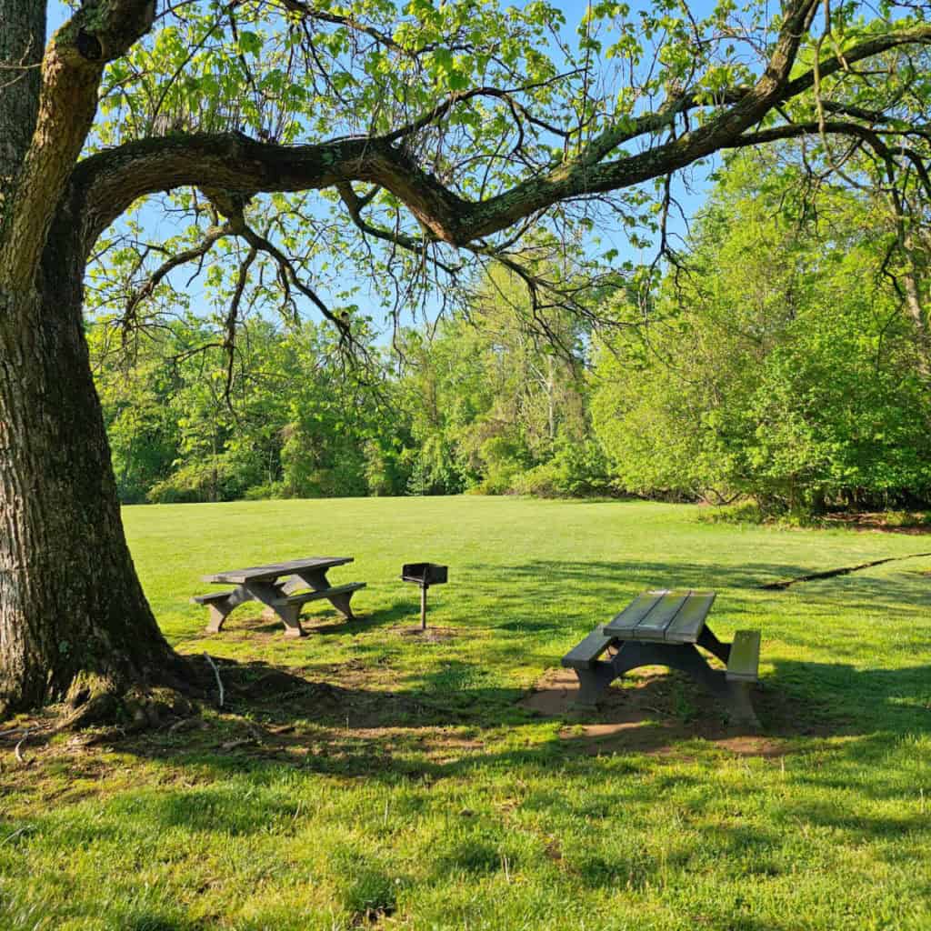 Dayuse area in Greenbelt Park Maryland