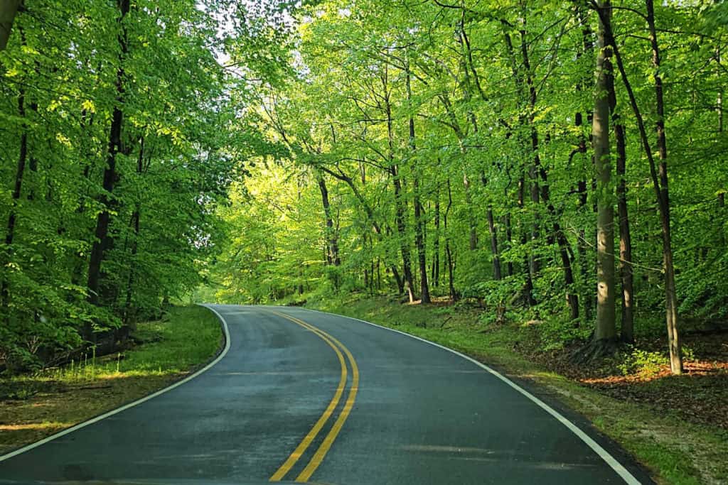 Driving at Greenbelt Park Maryland