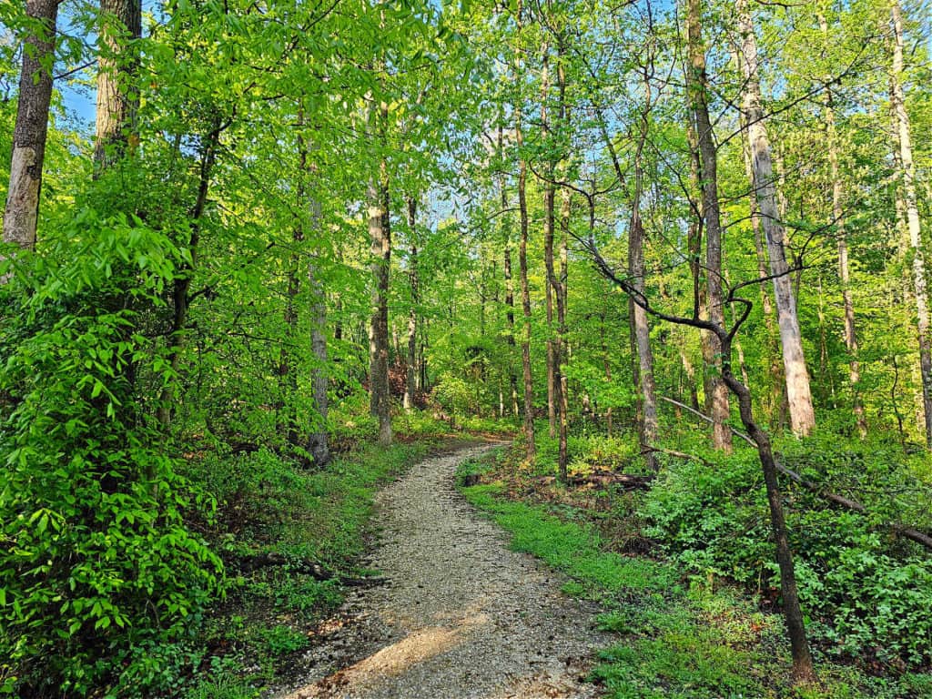 Greenbelt Park has beautiful hiking trails available