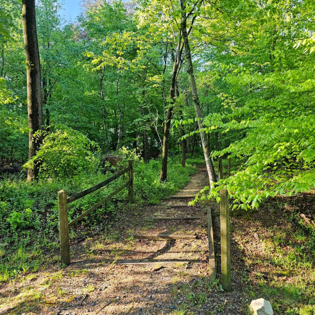 Hiking in Greenbelt Park Maryland