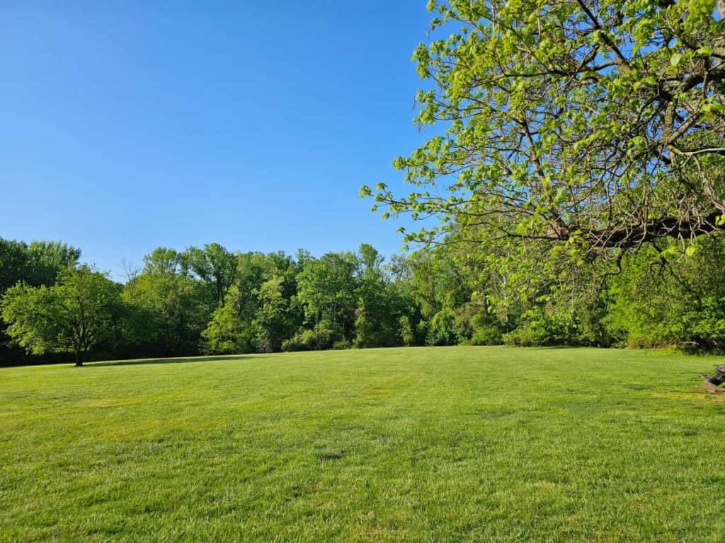 Large field in Dayuse area at Greenbelt Park