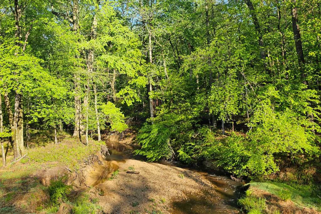 Silt Creek at Greenbelt Park Maryland