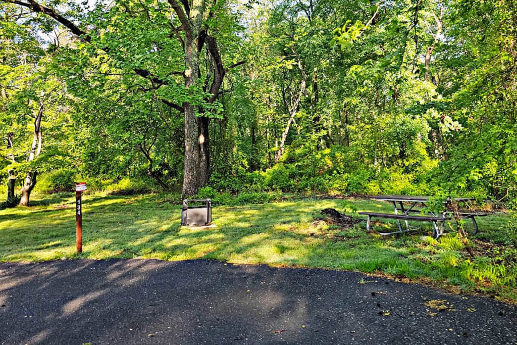 campsite #134 Greenbelt Park Campground