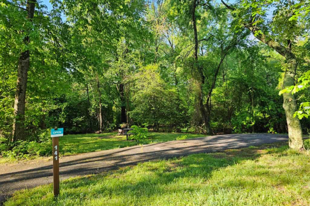 campsite #141 Greenbelt Park Campground