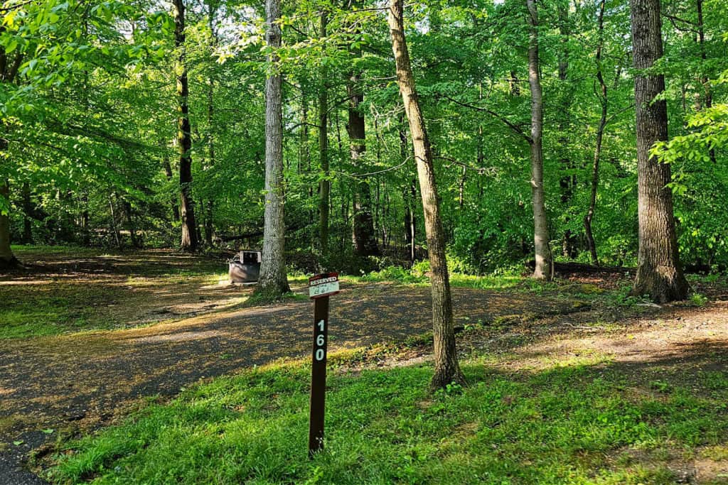 campsite #160 Greenbelt Park Campground