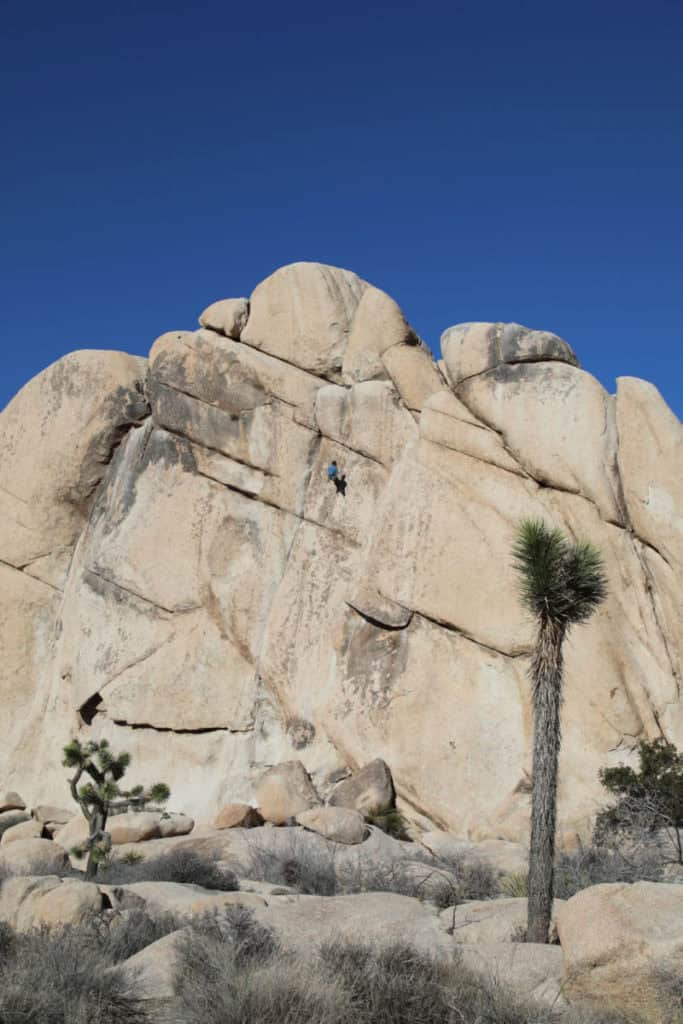 Climbers in Joshua Tree National Park