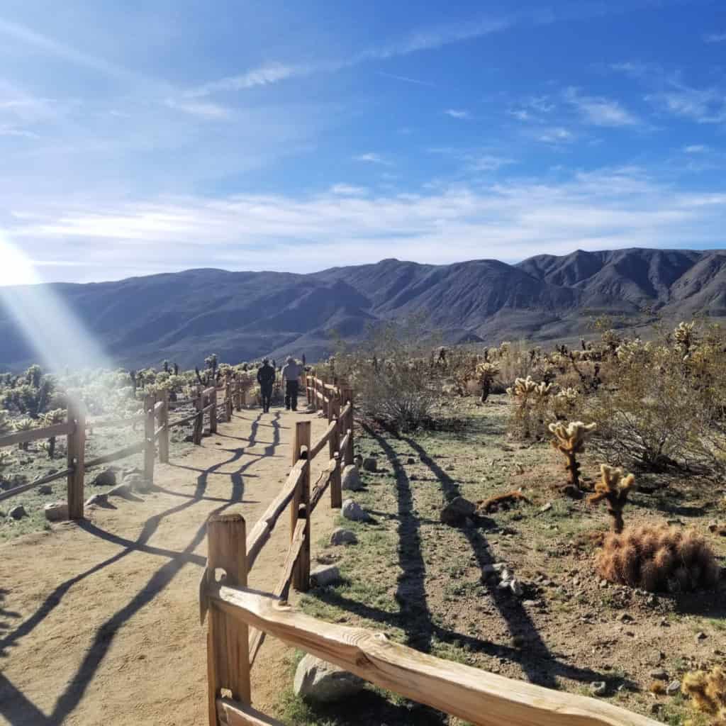 Park Rangers walking the Cholla Cactus Trail in Joshua Tree National Park