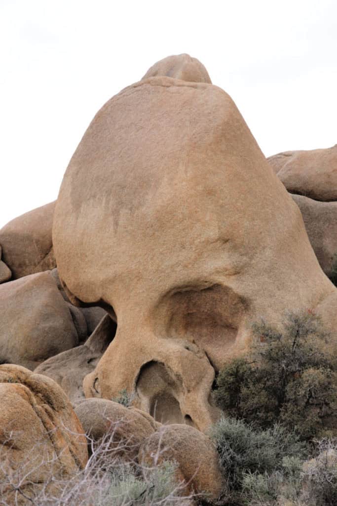 Skull Rock in Joshua Tree National Park