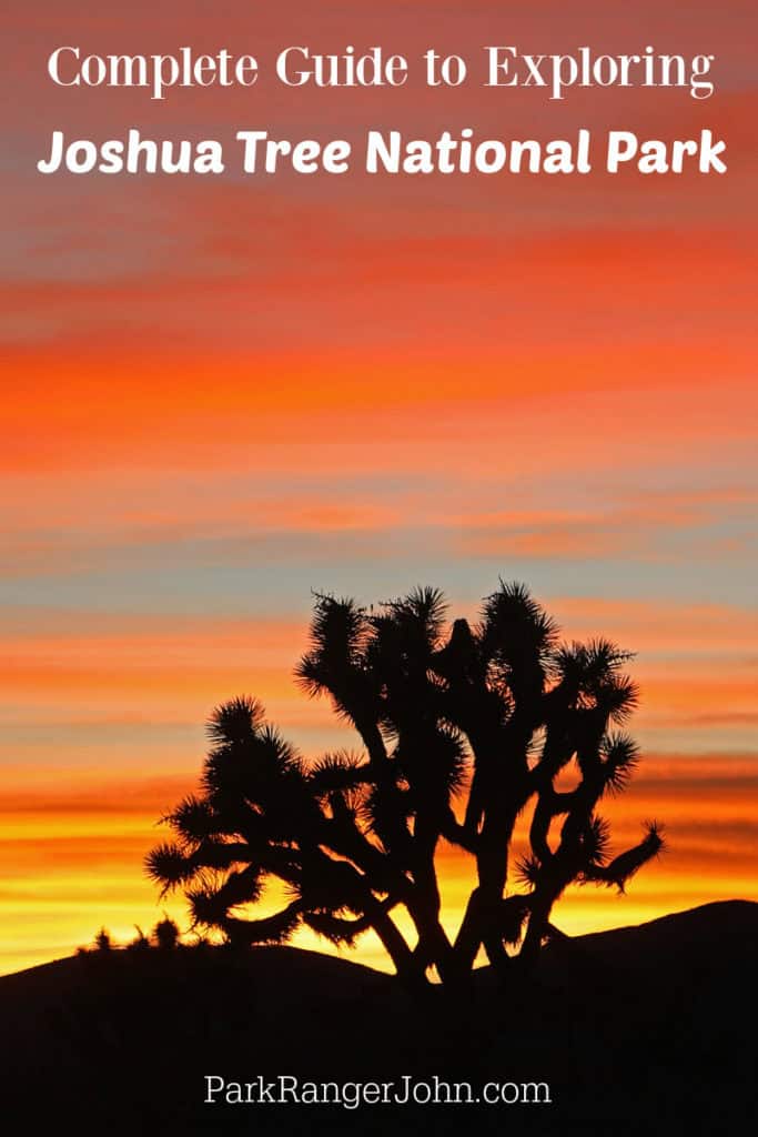 Photo of a Joshua Tree with a beautiful sunset in Joshua Tree National Park with text reading "Complete Guide to Exploring Joshua Tree National Park by ParkRangerJohn.com"