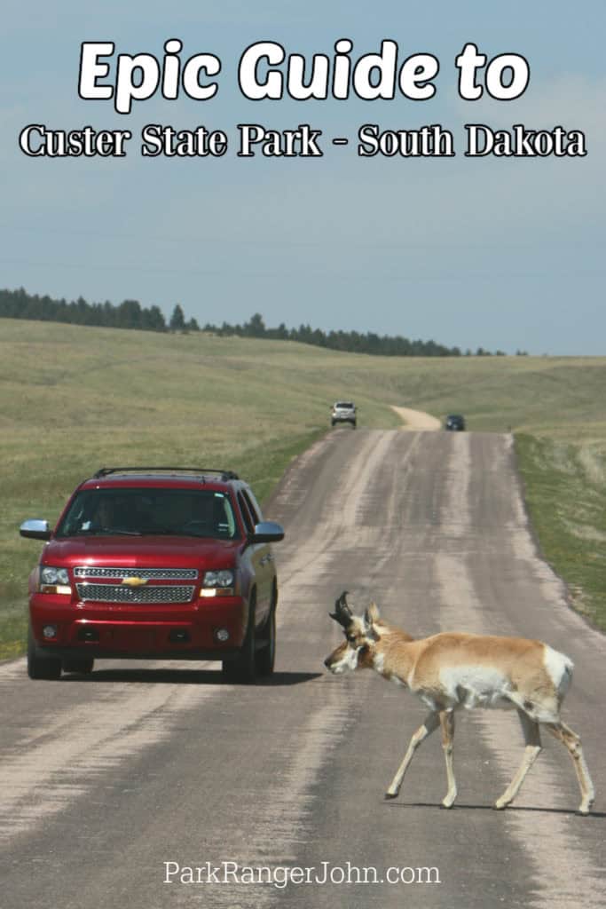 Pronghorn Antelope crossing the Wildlife loop road in Custer State Park with text "Epic Guide to Custer State Park Saouth Dakota by ParkRangerJohn.com"