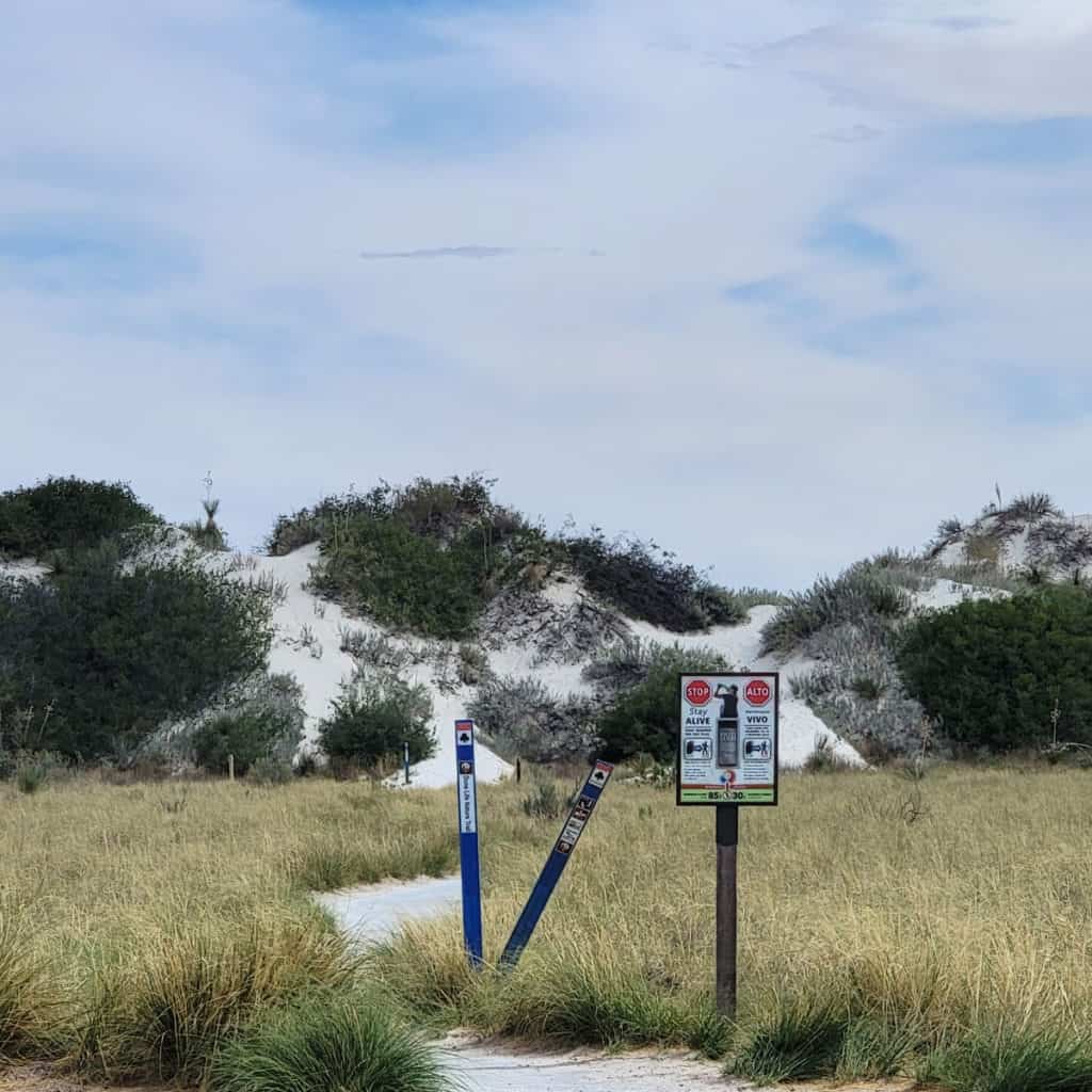 Dune Life Nature Trail at White Sands National Park