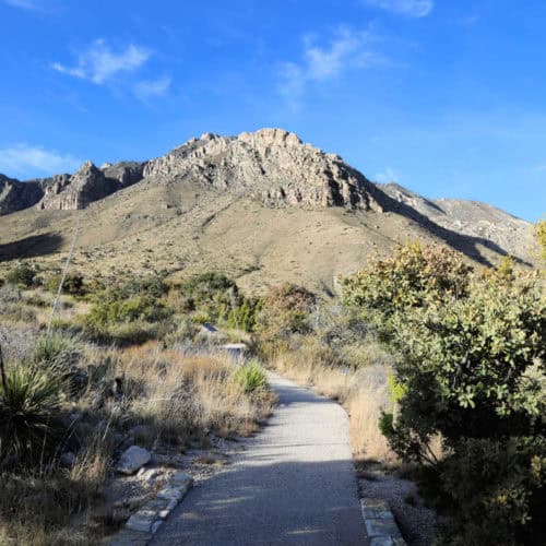 Guadalupe Mountains National Park Texas USA