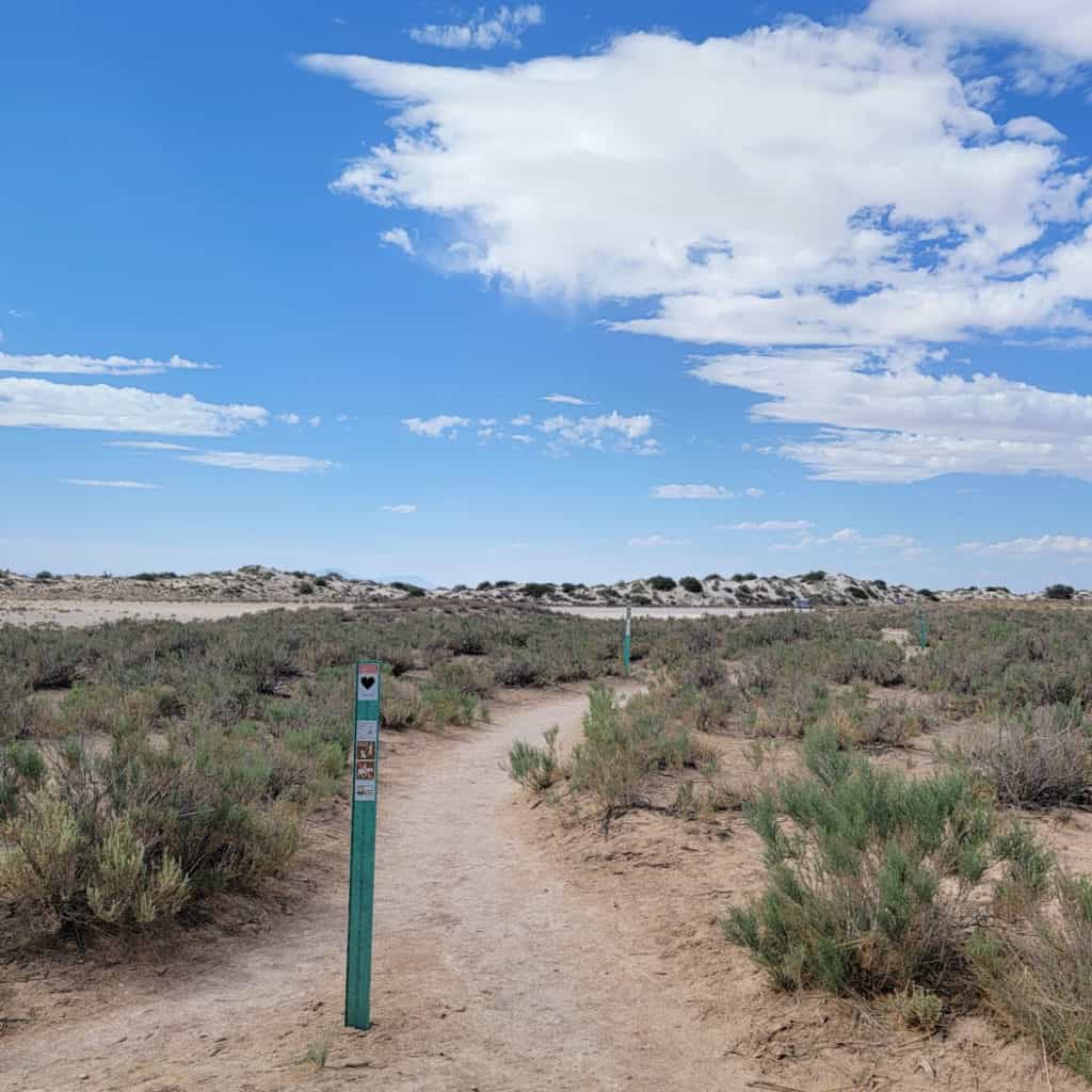 Playa Trail at White Sands National Park