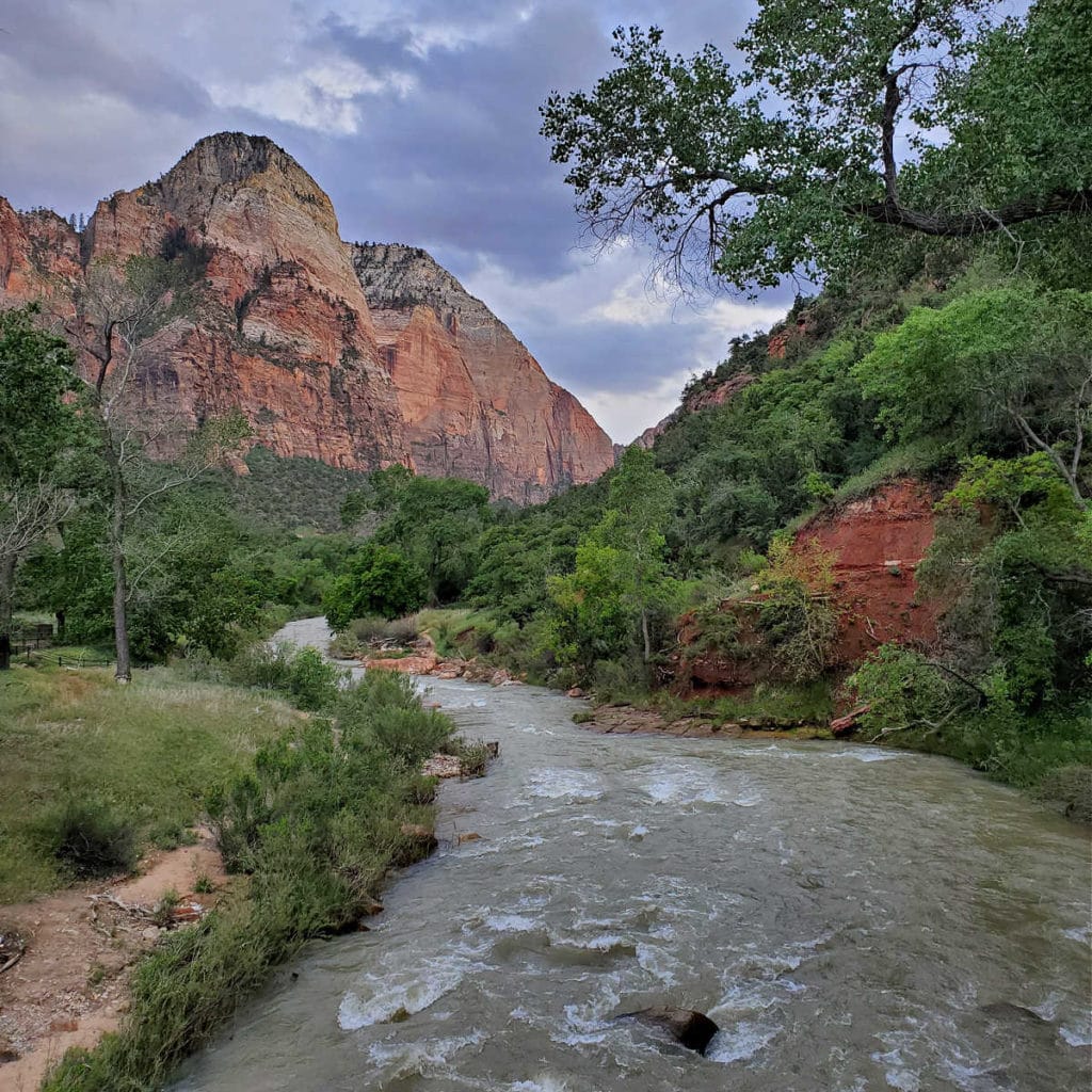 Virgin River in Zion Canyon at Zion National Park In Utah National Parks